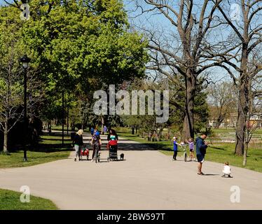 On an sunny day some families walking in the park with there baby and also dogs Stock Photo