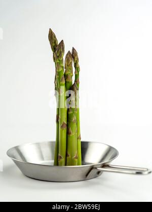 concept photo, a bunch of huge asparagus stands in the center of a small steel pan on a white background. Stock Photo