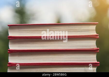 Collection of different books on blurred green background, space for text Stock Photo