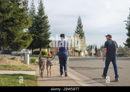 California couple walking their pet dogs in a suburban neighborhood Stock Photo