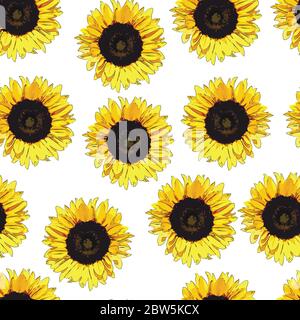 Seamless Floral Sunflower Pattern. Vector Illustration. Floral background. Stock Vector