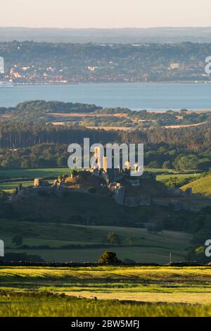 Corfe Castle, Dorset, UK.  29th May 2020.  UK Weather.  The view from Swyre Head of the ruins of Corfe Castle in Dorset illuminated by late afternoon sunshine at the end of a warm sunny day with clear skies with Poole Bay in the distance.  Picture Credit: Graham Hunt/Ģ����ý Live News Stock Photo