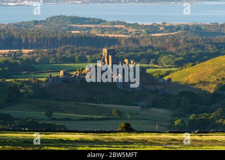 Corfe Castle, Dorset, UK.  29th May 2020.  UK Weather.  The view from Swyre Head of the ruins of Corfe Castle in Dorset illuminated by late afternoon sunshine at the end of a warm sunny day with clear skies with Poole Bay in the distance.  Picture Credit: Graham Hunt/Ģ����ý Live News Stock Photo