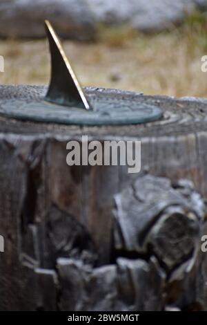 Sundial on a Tree Stump Stock Photo