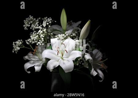 A large bouquet of bright white lilies and Gypsophila Paniculata Stock Photo