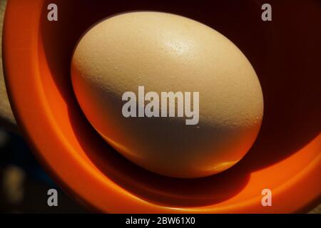 Single Brown Chicken Egg Resting Orange Bowl Stock Photo