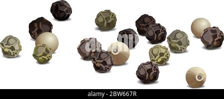Black and white pepper close up realistic vector illustration Stock Vector