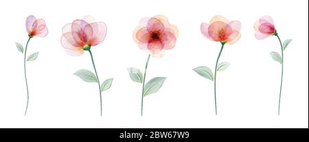 Set watercolor hand painted with colourful flower. isolated on white background use for wedding, valentine, invitation, posters, greeting cards. Stock Vector