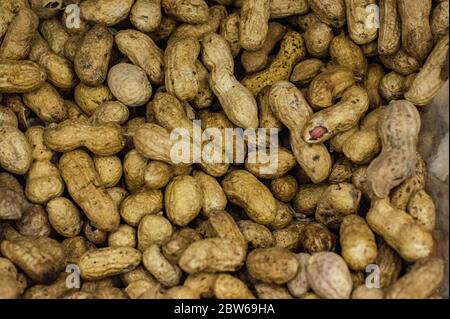 peanuts seeds background image of fresh delicious organically healthy stomach seeds peanuts Stock Photo