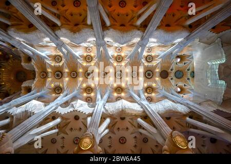 Barcelona, Spain - Sagrada Familia basilica interior Stock Photo