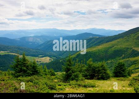 summer landscape of valley in mountains. trees and green meadows on rolling hills. black ridge in the distance. beautiful nature of carpathians. cloud Stock Photo