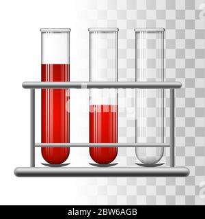 Medical test tubes with blood in rack. Transparent glass flasks. Vector illustration. Stock Vector