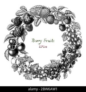 Antique engraving illustration vintage style of circle berry fruits black and white clip art isolated on white background,Clip art for product label Stock Vector