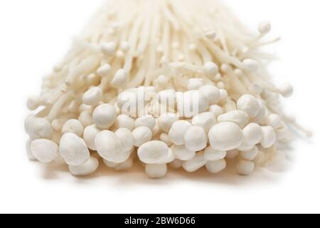 Cluster of fresh cultivated white enokii mushrooms close up isolated on white background Stock Photo