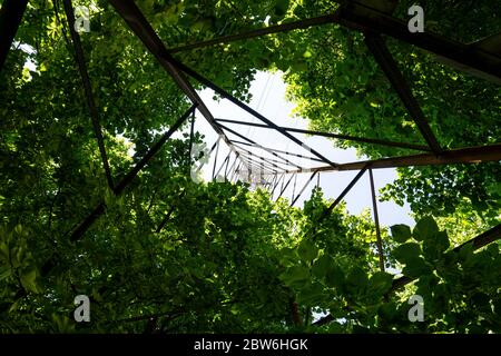 an electricity pylon among the trees of a park taken from below Stock Photo
