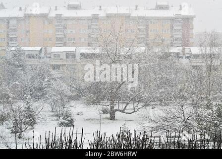 Cold and grey winter day and heavy snowfall in the city Stock Photo