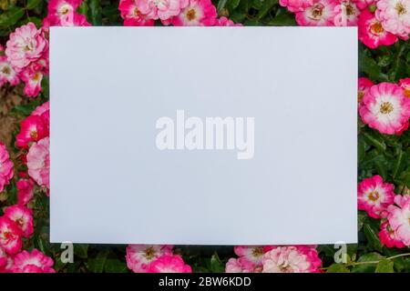 Blank White Paper in Natural Environment Surrounded With Flowers Stock Photo