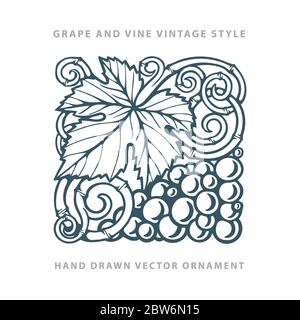 Grapevine vintage style ornaments. Grape bunch and vine hand drawn vector illustrations set. Grape and vine engraving style outline graphic. Stock Vector