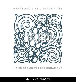 Grapevine vintage style ornaments. Grape bunch and vine hand drawn vector illustrations set. Grape and vine engraving style outline graphic. Stock Vector