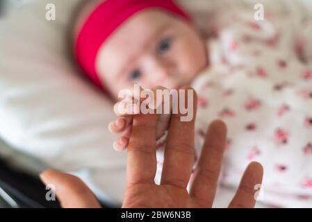 Infant hand gripping adult finger. Selective focus Stock Photo