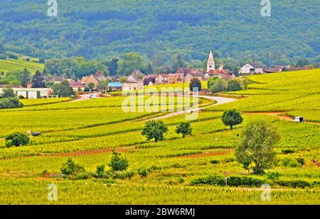 Auxey-Duresses village, Cote-d'Or, Burgundy, France Stock Photo