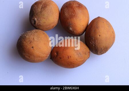 Ripe fresh sapota fruits isolated on white background Stock Photo