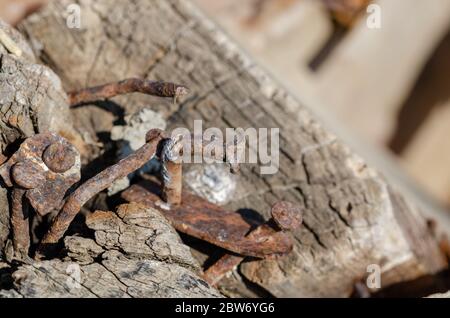 There are rusty attachment nails and iron on the board. Stock Photo