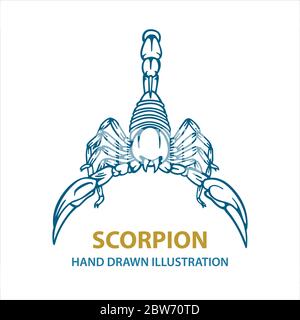 Scorpion. Hand drawn scorpion vector illustration.  Scorpion tattoo. Vector illustration. Part of set. Stock Vector