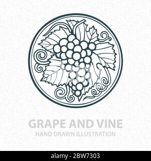 Grape and vine hand drawn illustration. Grape bunch vintage style drawing. Grape and vine retro style vector logo. Wine theme design template. Stock Vector