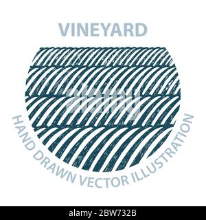 Green valley. Vineyard and sunny valley hand drawn illustration. Nature and meadows. Vineyard woodcut style sketch drawing. Abstract landscape. Stock Vector