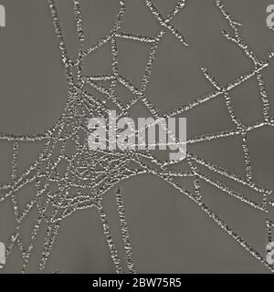Abstract macro photograph of a  frozen spider web Stock Photo