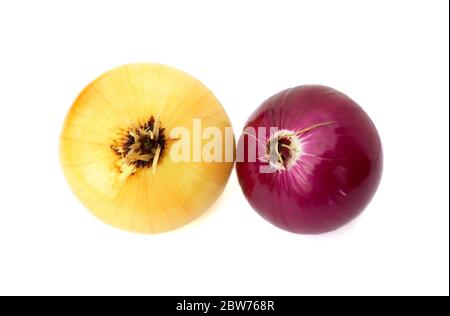 Onions. Fresh bulbs of red and gold onion isolated on white background. Stock Photo