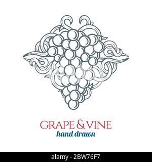 Grape and vine.  Hand drawn grape bunch engraving style illustration. Bunch of grapes sketch drawing ornament. Part of set. Stock Vector