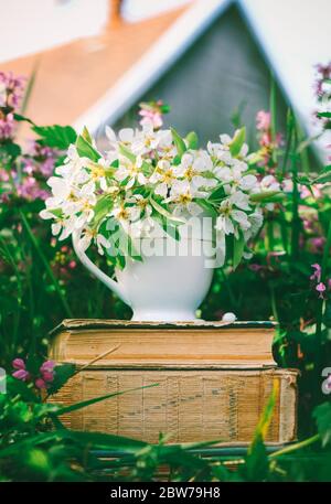 ceramic cup with white flowers on a pile of old books in a clearing with flowering herbs against the backdrop of a village house on a spring or summer Stock Photo