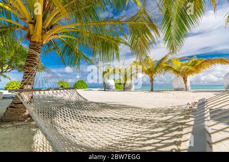 Hammock between two coconut trees on a tropical island with beautiful beach. Luxury summer travel beach sand with palm trees, sunny paradise landscape Stock Photo