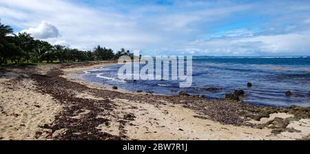 Autre Bord beach in Le Moule in Guadeloupe, French west indies. Lesser Antilles, Caribbean sea Stock Photo