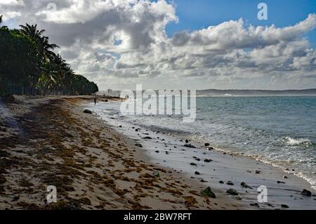 Autre Bord beach in Le Moule in Guadeloupe, French west indies. Lesser Antilles, Caribbean sea Stock Photo