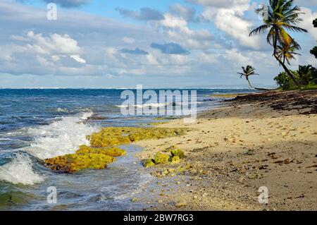 Autre Bord beach in Le Moule in Guadeloupe, French west indies. Lesser Antilles, Caribbean sea Stock Photo