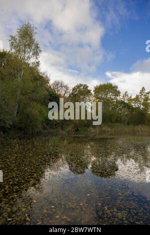 Lake in Vogrie Country Park, Midlothian, Scotland Stock Photo