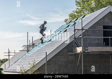 Tiling roof on newbuild house as infill on old school field, Llanfoist village, Wales, UK Stock Photo