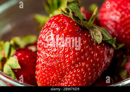 Fresh appetizing red ripe strawberries picked up in the garden into glass bowl ready to use for making smoothie, jam or compote Stock Photo