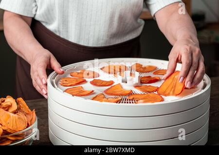 Hands of mature female in apron taking dried slices of persimmon or other fruit from top tray of domestic food dryer in the kitchen Stock Photo