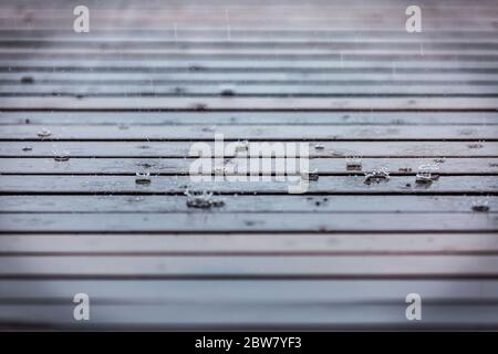 Water drops on a wooden floor surface.Drop of water on wood with raindrop after a rain with copy space.Water resistant painting and Protect hard wood Stock Photo
