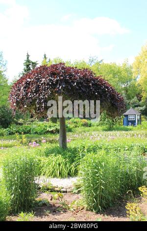 The Pond Gardens of Ada Hofman in Loozen, the Netherlands Stock Photo