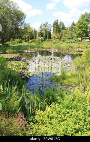 The Pond Gardens of Ada Hofman in Loozen, the Netherlands Stock Photo