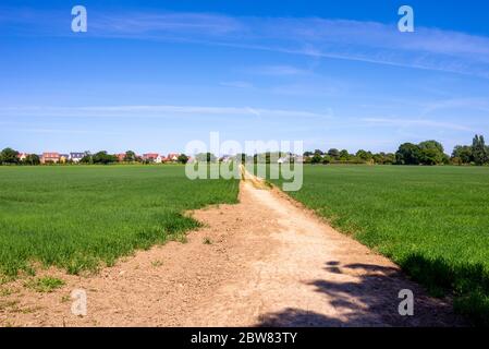 Public footpath running through a farmer's field in Rochford, Essex, UK. From Hall Road to Cherry Orchard Way. Public Right of Way across private land Stock Photo