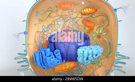 3d render. 3d illustration cell modell Stock Photo - Alamy