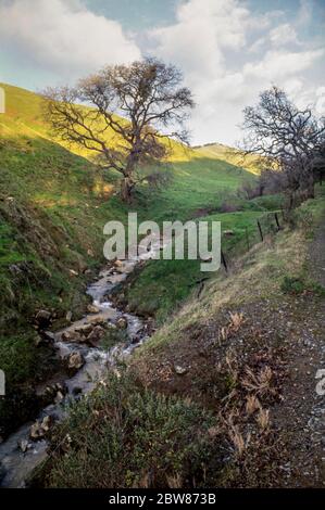 Vertical Landscape of an Ephemeral Creek, Valley Oak Tree,Hills, and Sky Near Mt Diablo and the Black Diamond Mine in Clayton, California. Stock Photo