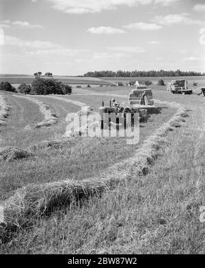 1950s FARMER ON TRACTOR TOWING STRAW WITH MAN ON FLATBED LOADING BALES USA - f10269 HEL001 HARS OCCUPATIONS TOWING HAYING MANLY BALE FODDER BALES BLACK AND WHITE FLATBED OLD FASHIONED Stock Photo