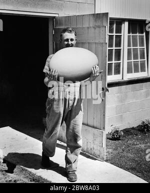 1950s MAN IN OVERALLS WALKING OUT OF BARN CARRYING MASSIVE EGG - p6368 HEL001 HARS COPY SPACE FULL-LENGTH PERSONS OVERALLS FARMING MALES AGRICULTURE B&W EYE CONTACT RELEASES BIZARRE SUCCESS OVERWORKED HUMOROUS WEIRD NOURISH DISCOVERY OVERWHELMED GROTESQUE EXCITEMENT ZANY COMICAL PRIDE UNCONVENTIONAL OPPORTUNITY OCCUPATIONS ZOOLOGY OVERWORK OVERWHELM CHICKENS COMEDY NOURISHMENT WACKY IDIOSYNCRATIC AMUSING ECCENTRIC HUGE MID-ADULT MID-ADULT MAN OVERWHELMING POULTRY BLACK AND WHITE CAUCASIAN ETHNICITY ERRATIC MASSIVE OLD FASHIONED OUTRAGEOUS Stock Photo